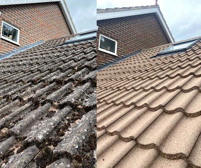 Dakonderhoud schoonmaak in Dordrecht