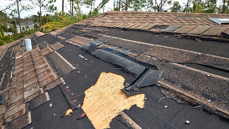Schade door daklekkage aan een huis in Dordrecht